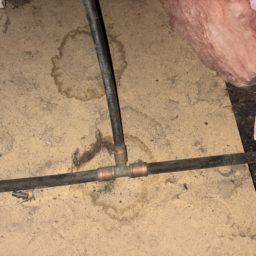 Evidence of water intrusion in a roof space, recorded on a pre-purchase inspection in Pakenham, 4 km from Pakenham East