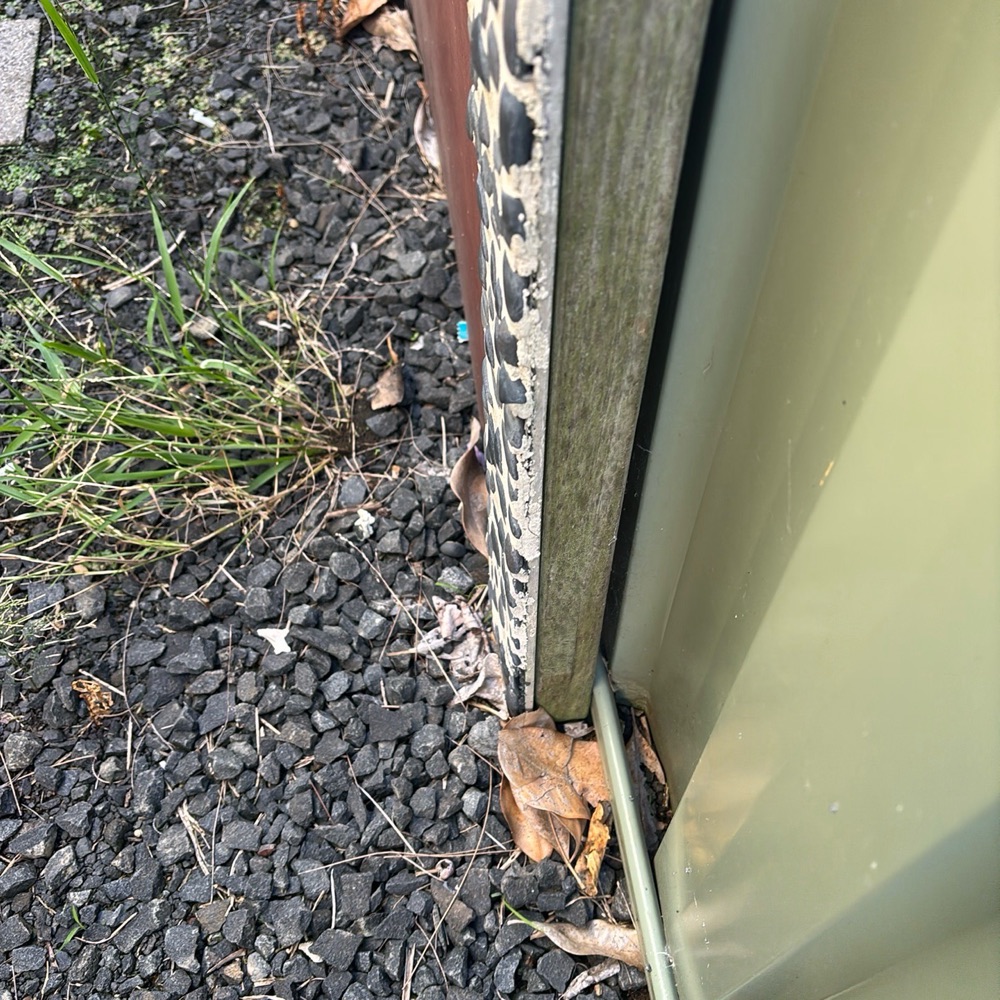 Why no inspector can guarantee a house is termite free