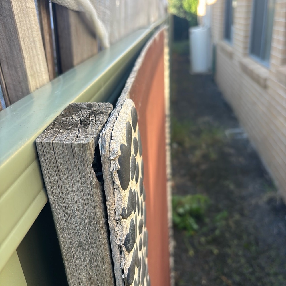 Termites and pest risk, Pakenham East